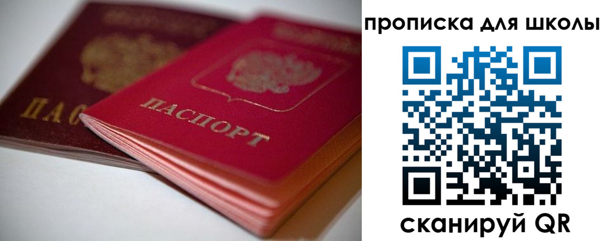 прописка для школы в Сосенском